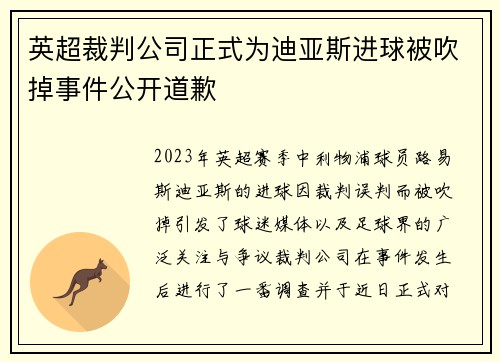 英超裁判公司正式为迪亚斯进球被吹掉事件公开道歉